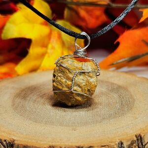 Organ Pipe Fossil Necklaces